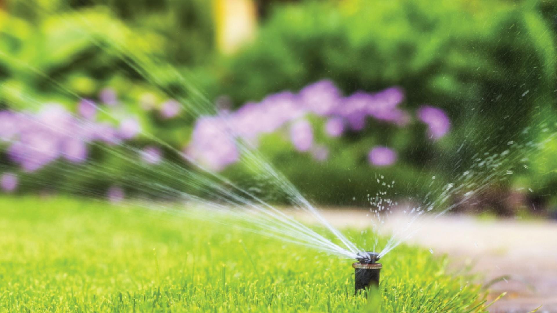 sprinkler watering grass